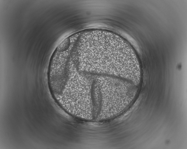 X0000116781330201001141503