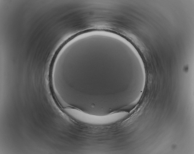 X0000116781331201001141503