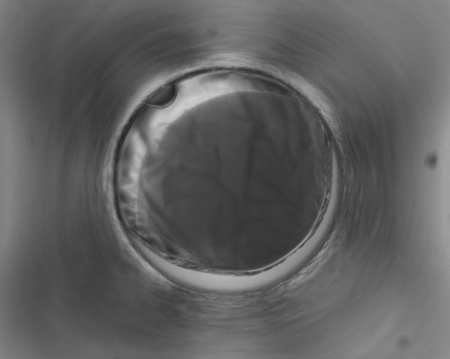 X0000116781334201001141503