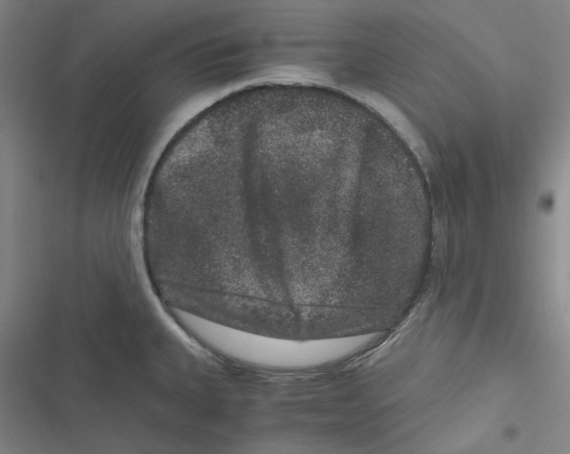 X0000116781335201001141503