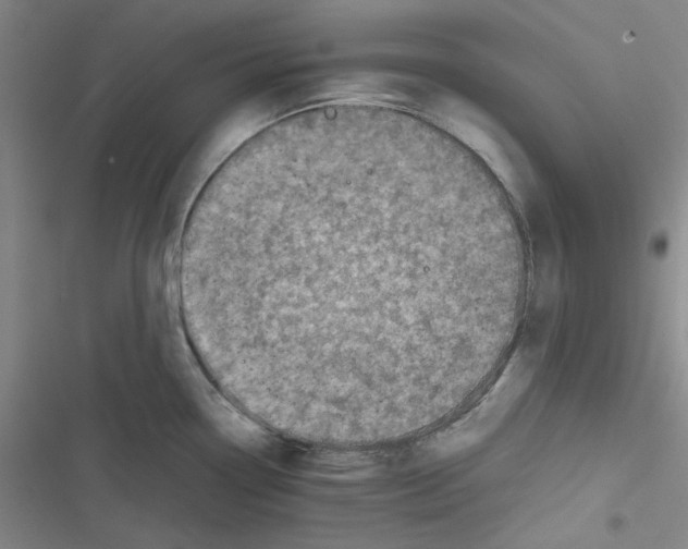 X0000116781338201001141503