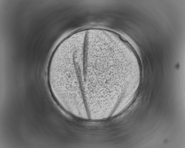 X0000116781341201001141504