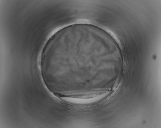 X0000116781342201001141504