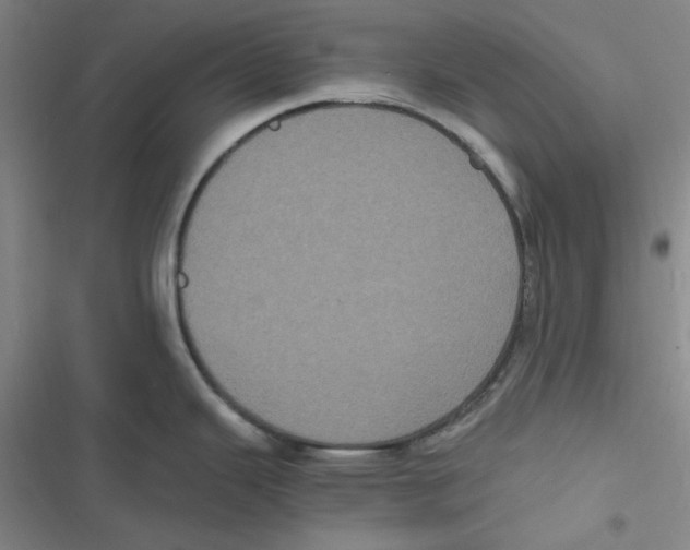 X0000116781343201001141504