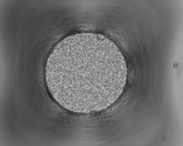 X0000116781345201001141503