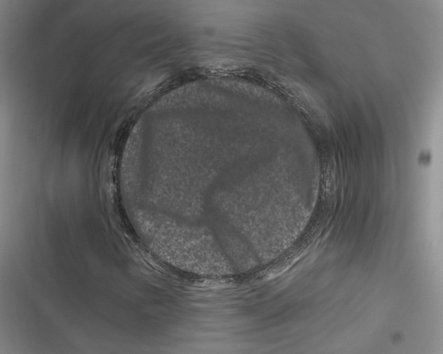 X0000116781346201001141503