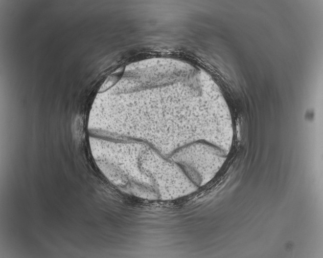 X0000116781347201001141503