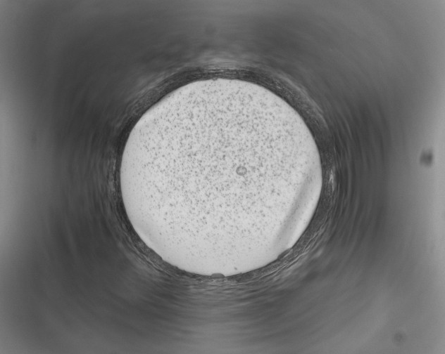 X0000116781348201001141503