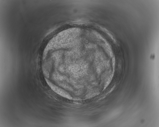 X0000116781350201001141503