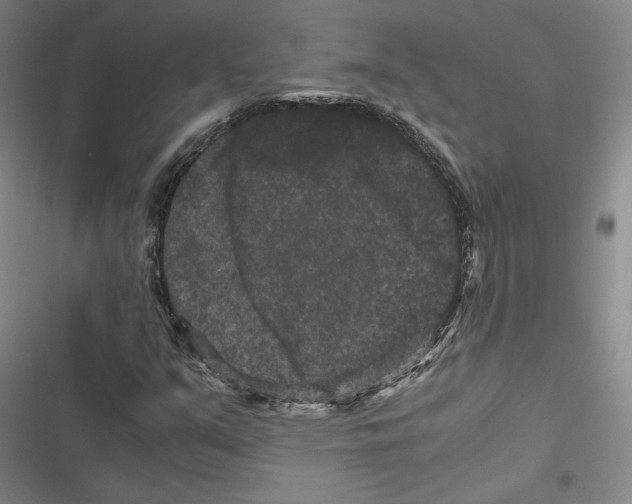 X0000116781351201001141503