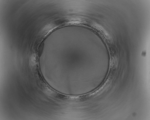 X0000116781353201001141503