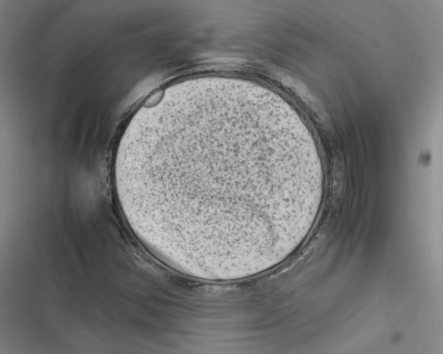 X0000116781354201001141503