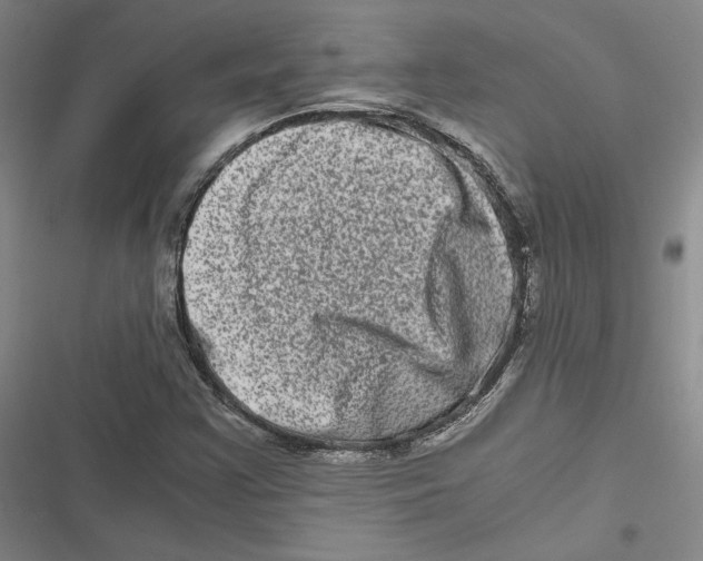 X0000116781355201001141503