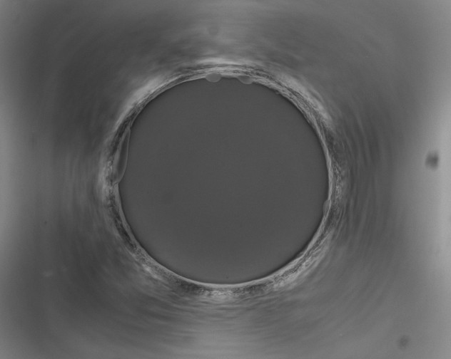 X0000116781357201001141503