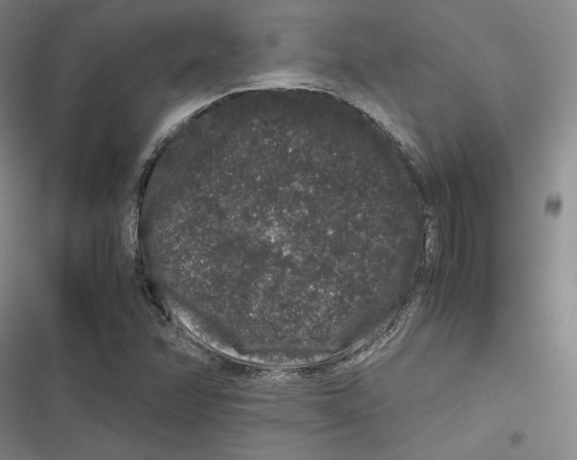 X0000116781358201001141503