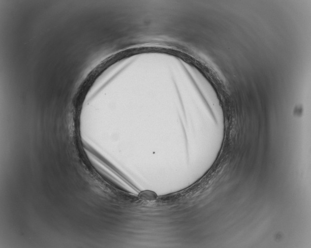 X0000116781360201001141503