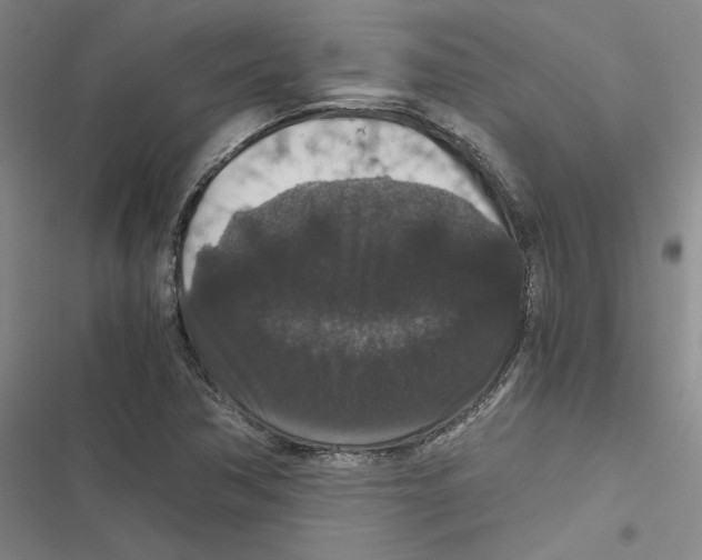 X0000116781362201001141503