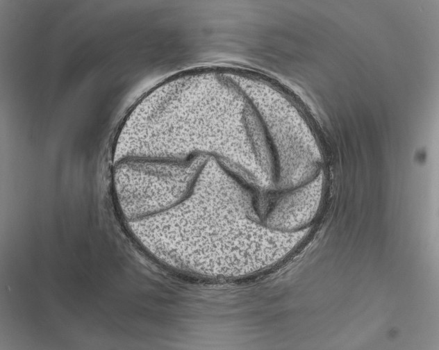 X0000116781363201001141503