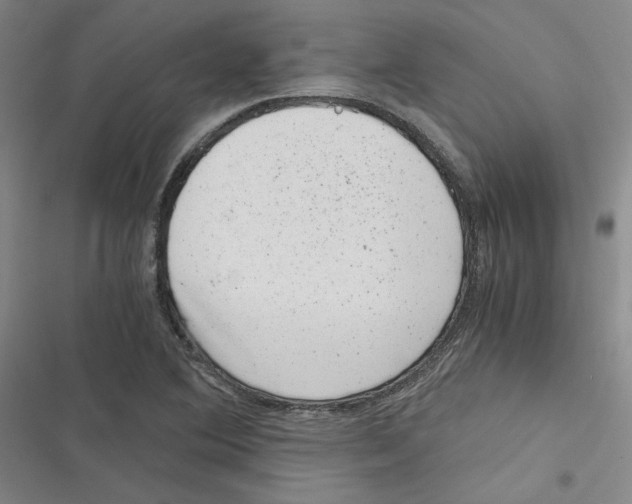 X0000116781364201001141503