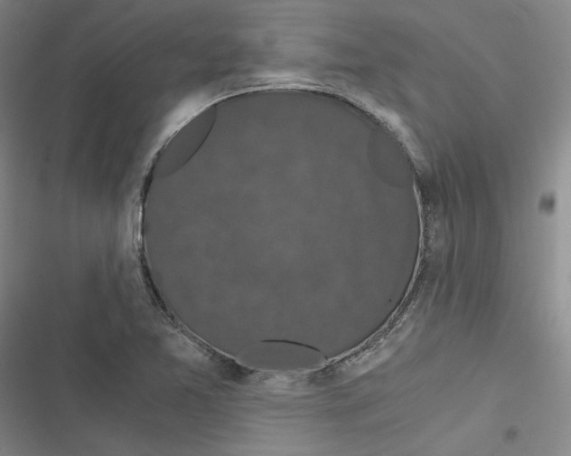 X0000116781365201001141503