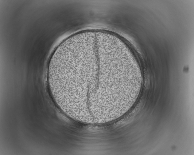 X0000116781366201001141503