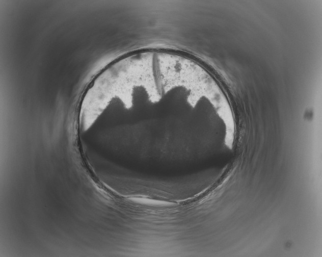 X0000116781367201001141503