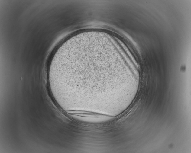 X0000116781368201001141503