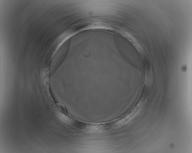 X0000116781369201001141503