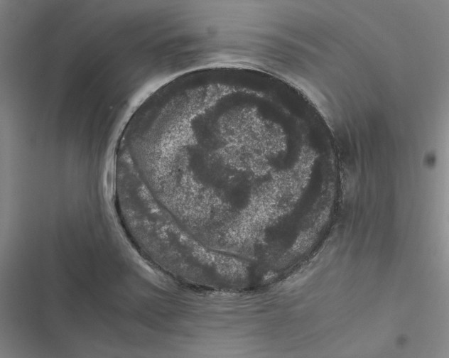 X0000116781371201001141503