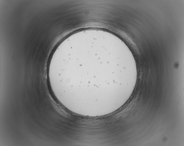 X0000116781372201001141503