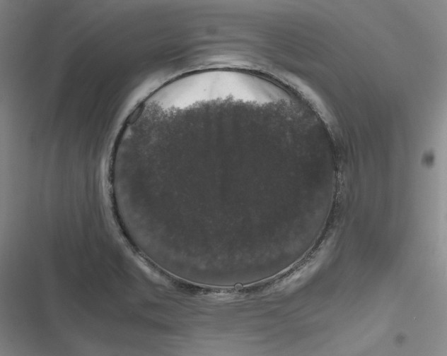 X0000116781373201001141503