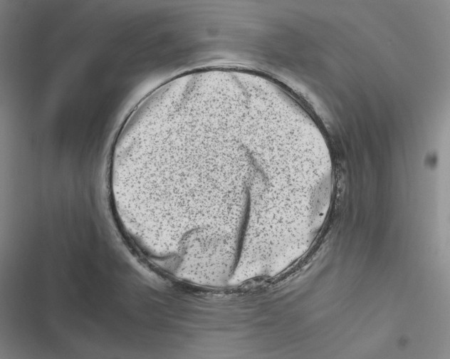 X0000116781375201001141503