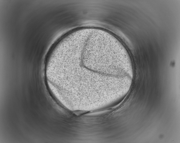 X0000116781376201001141502