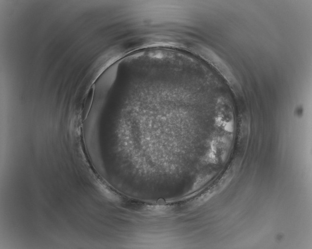 X0000116781377201001141502