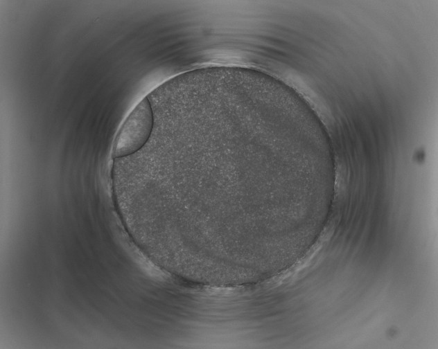 X0000116781378201001141502