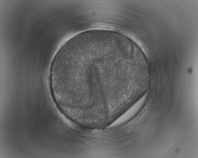 X0000116781379201001141502