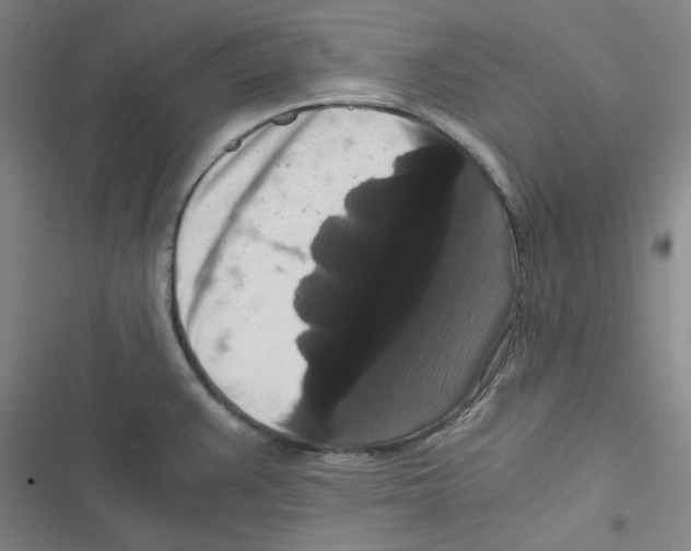 X0000116781383201001141502