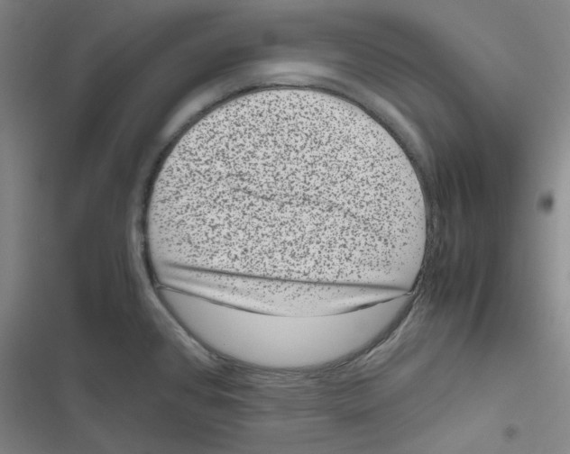 X0000116781384201001141502