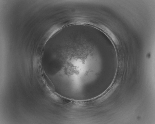 X0000116781385201001141502