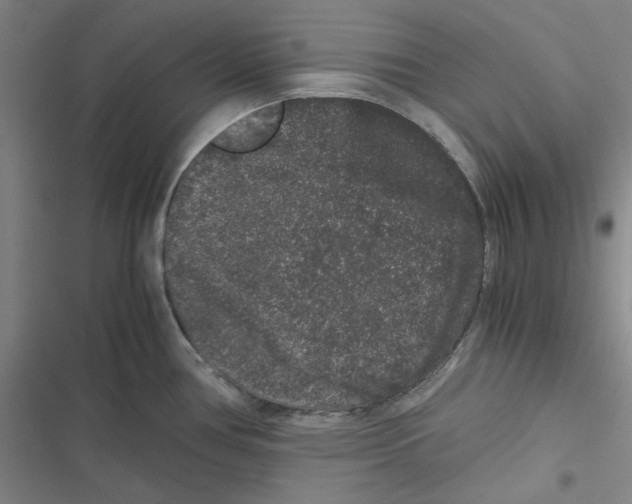 X0000116781386201001141502