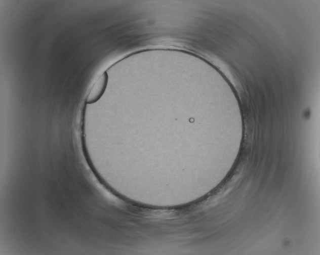 X0000116781387201001141502