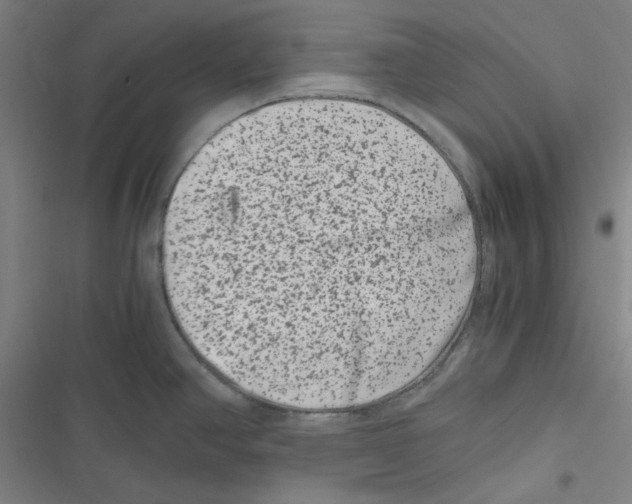 X0000116781390201001141502