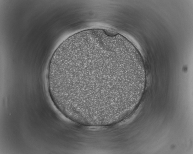 X0000116781391201001141502