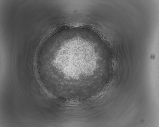 X0000116781393201001141502