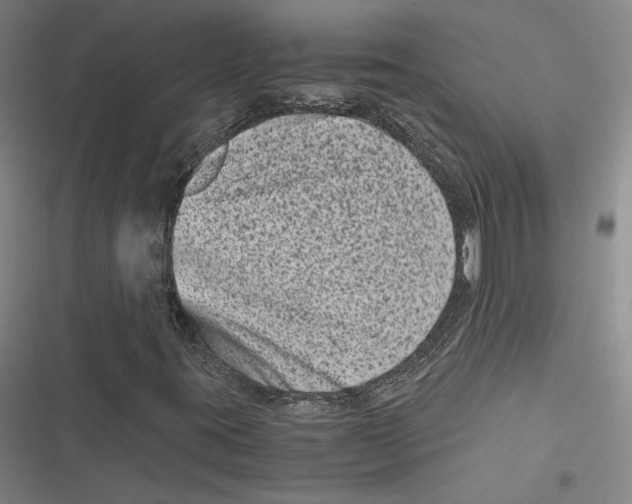 X0000116781395201001141502