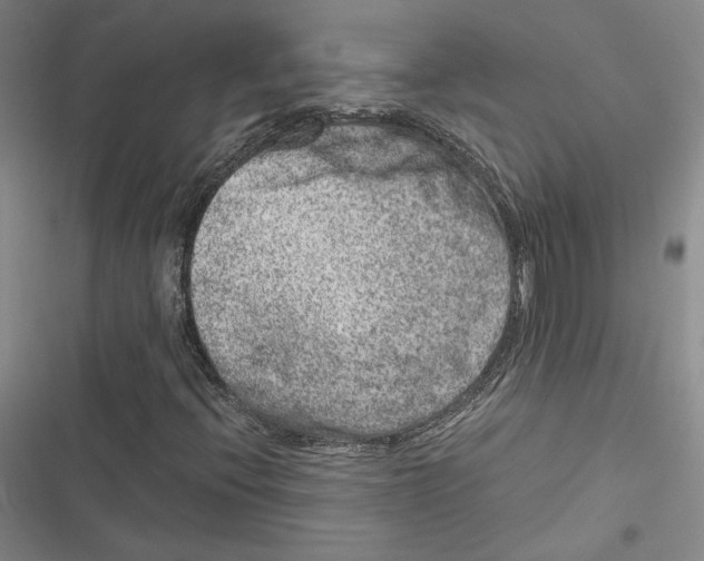 X0000116781396201001141502