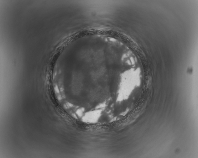 X0000116781397201001141502