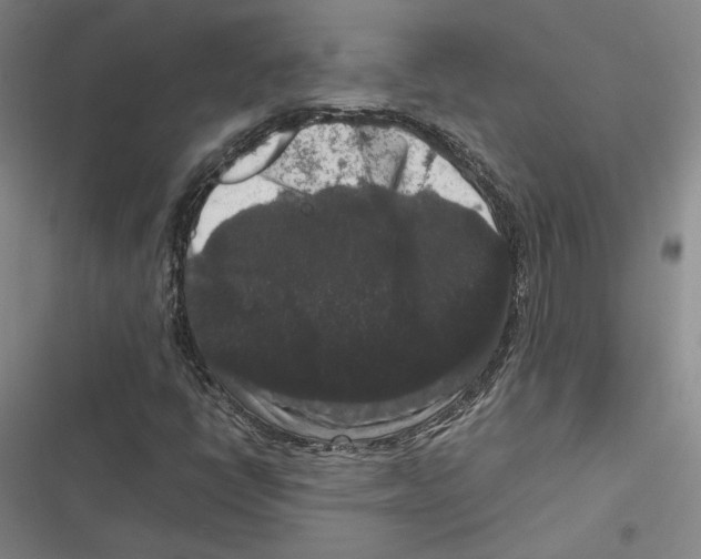 X0000116781398201001141502