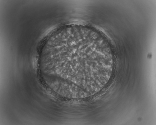 X0000116781399201001141502