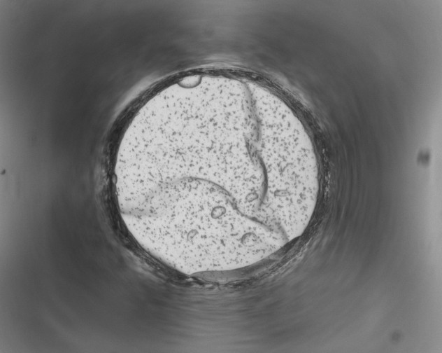 X0000116781400201001141502